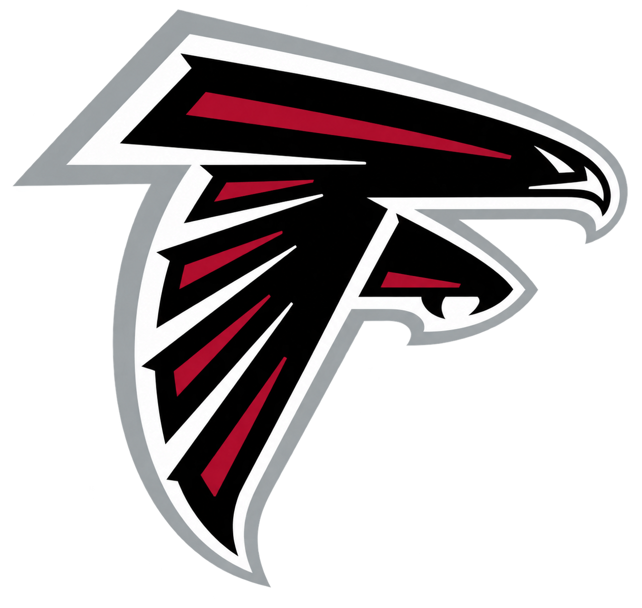Professional sports team logo