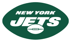 Professional sports team logo